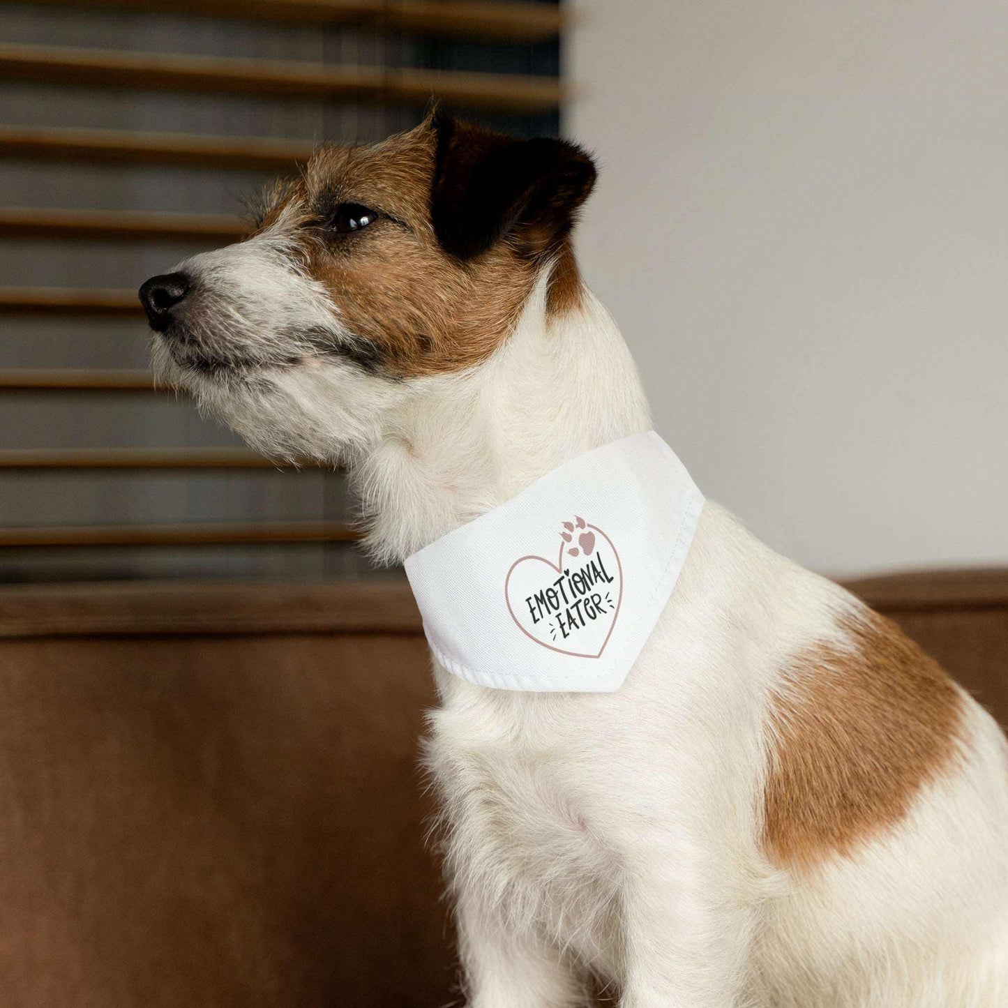 Emotional Eater Pet Bandana Collar | Fun & Durable Accessory