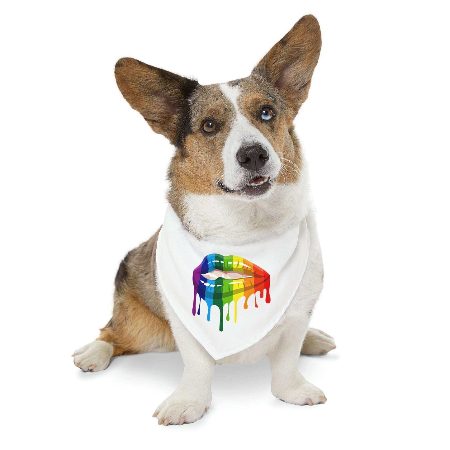 Pet Bandana Collar