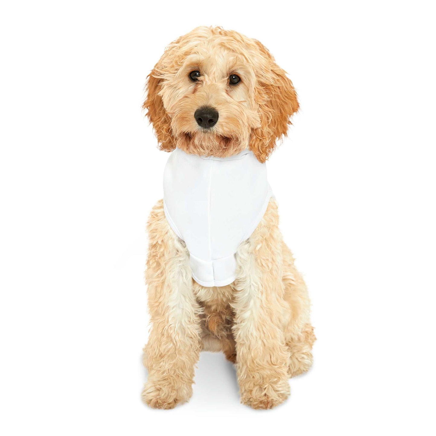 White dog hoodie with sassy design for pets, available in various sizes.