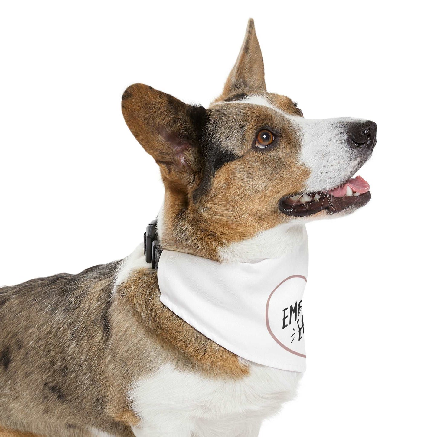 Emotional Eater Pet Bandana Collar | Fun & Durable Accessory